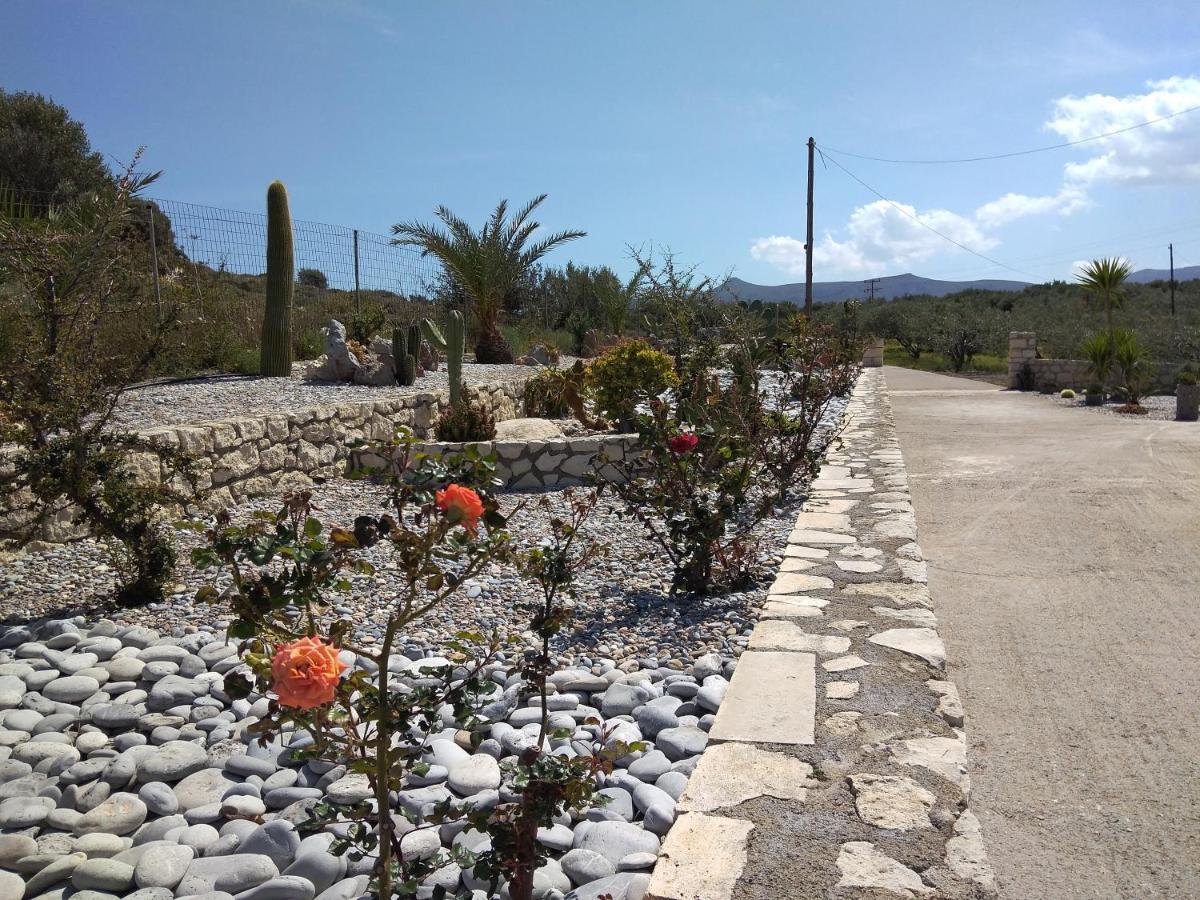 Kouremenos Manolis Apartment باليكاسترون المظهر الخارجي الصورة